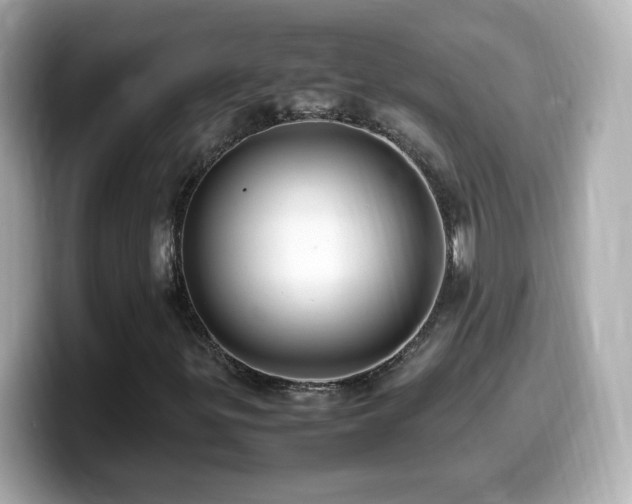 X0000099981299200805231417