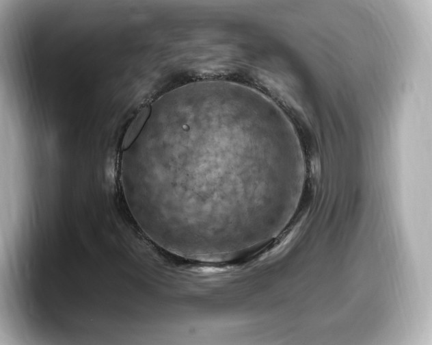 X0000099981300200805231417