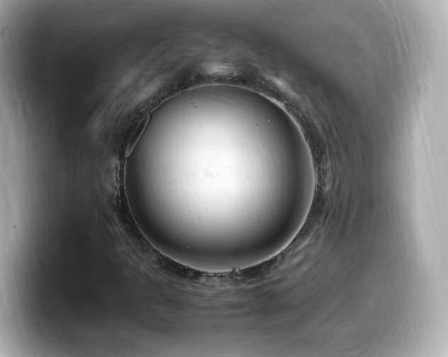 X0000099981301200805231417