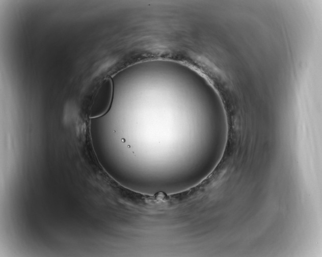 X0000099981302200805231417