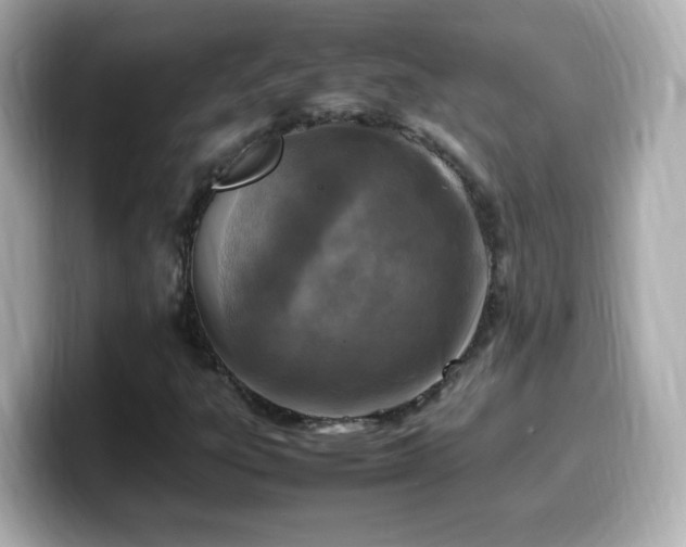 X0000099981303200805231417