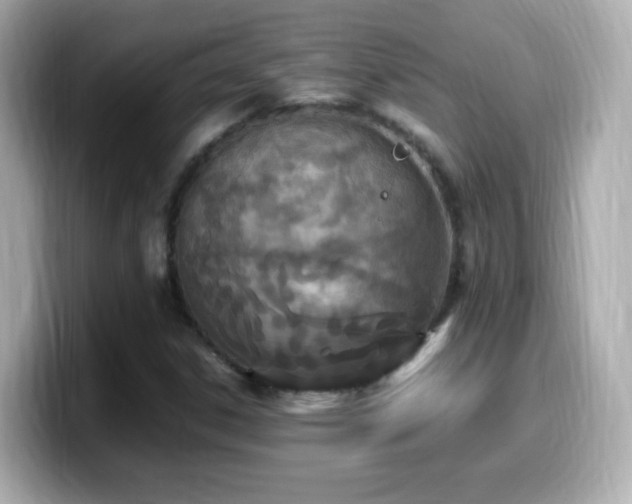 X0000099981306200805231417
