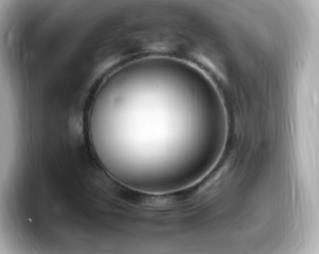X0000099981307200805231417