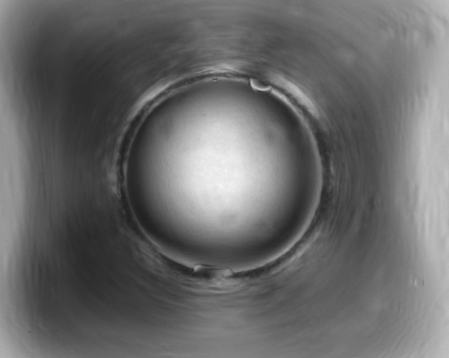 X0000099981308200805231417