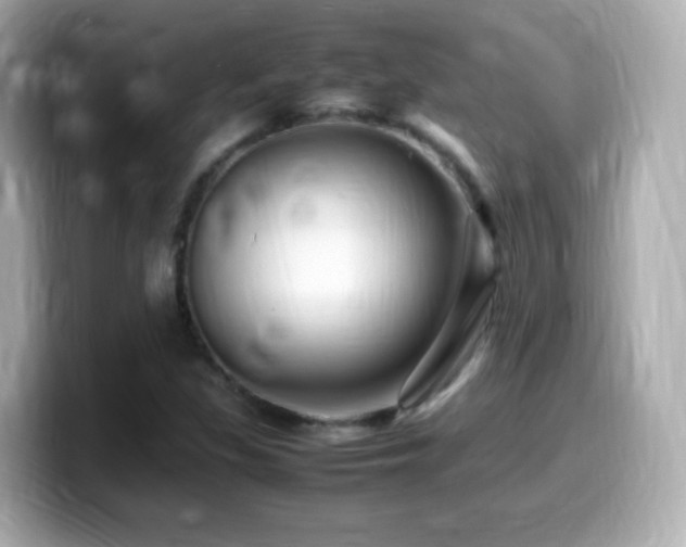 X0000099981309200805231417