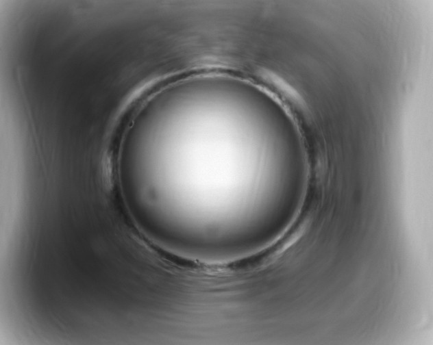 X0000099981310200805231417