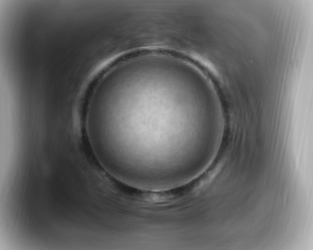X0000099981311200805231417