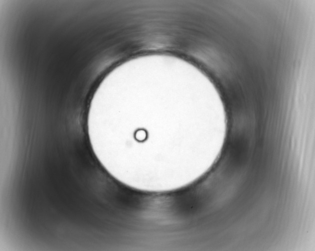 X0000099981314200805231417