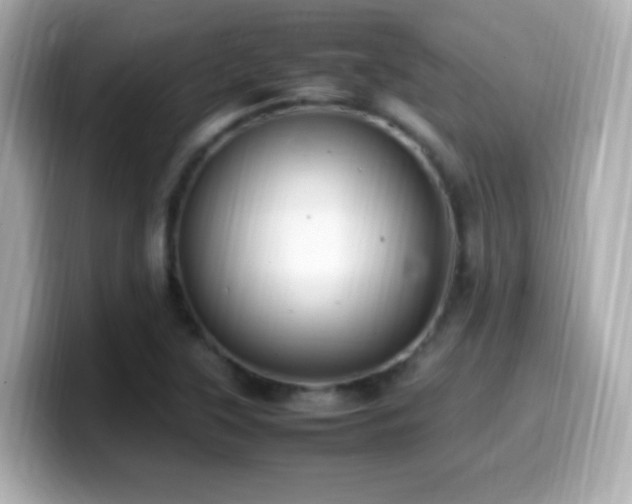 X0000099981315200805231417