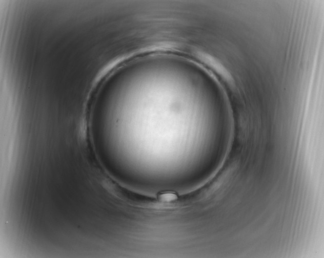 X0000099981316200805231417