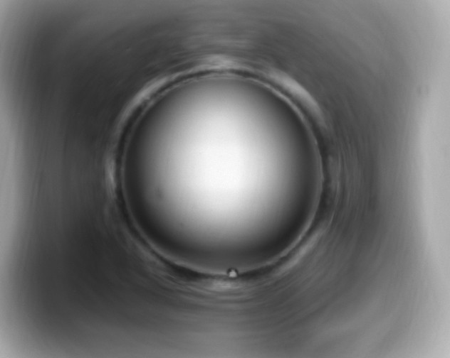 X0000099981318200805231417