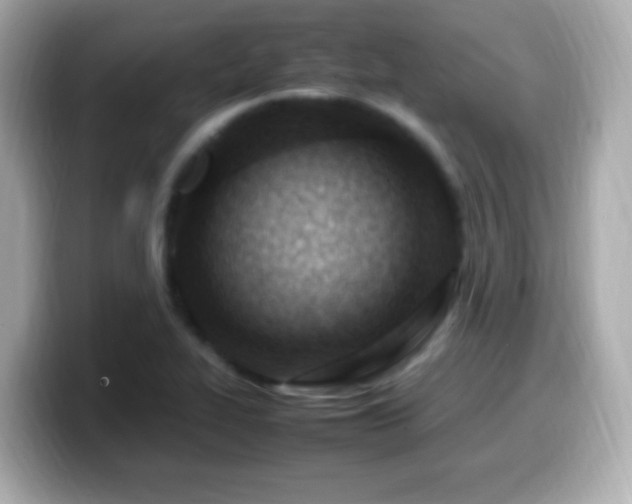 X0000099981319200805231417