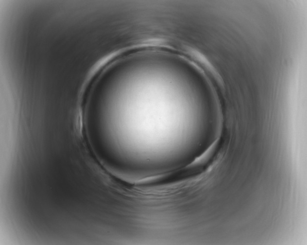 X0000099981320200805231417