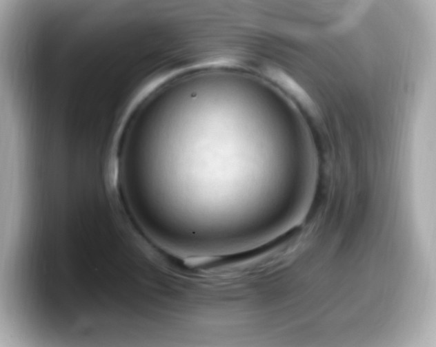 X0000099981324200805231417