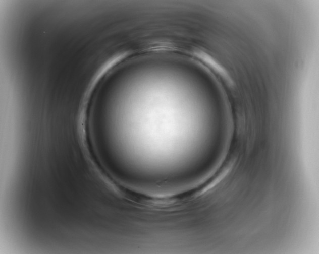 X0000099981325200805231417