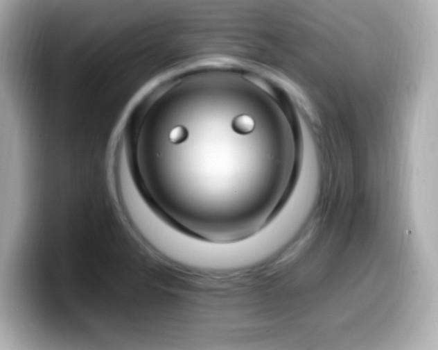 X0000099981326200805231417