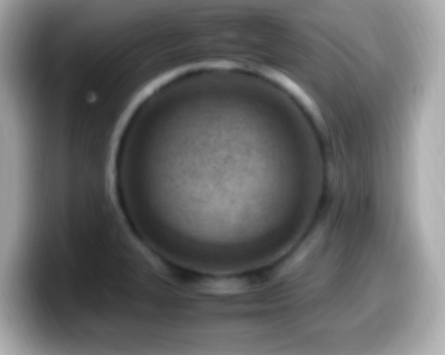 X0000099981327200805231417