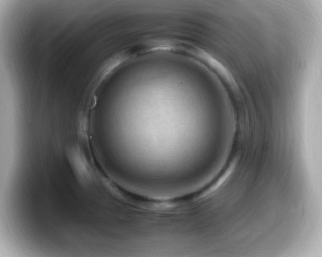 X0000099981329200805231417