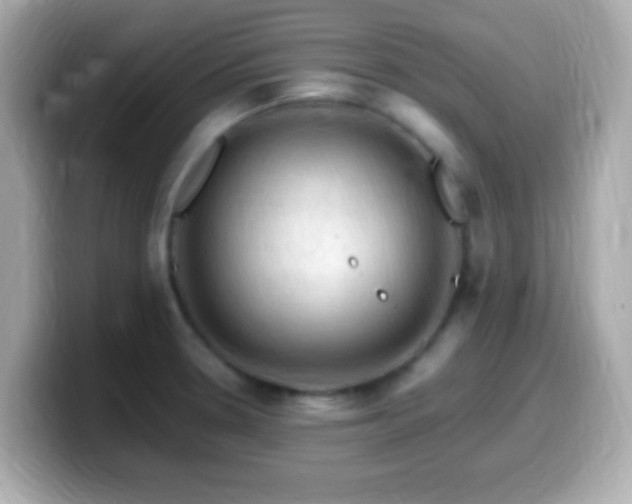 X0000099981330200805231417