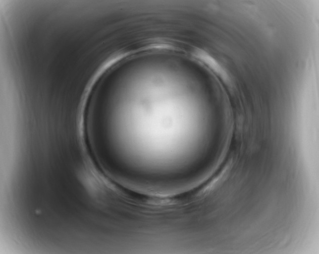 X0000099981331200805231417