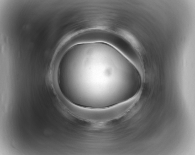 X0000099981332200805231417