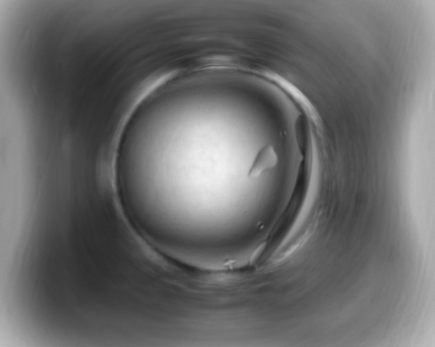 X0000099981333200805231417