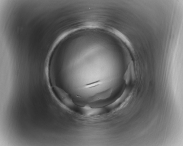 X0000099981334200805231417