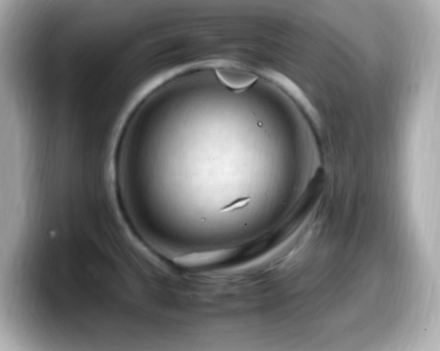 X0000099981335200805231417