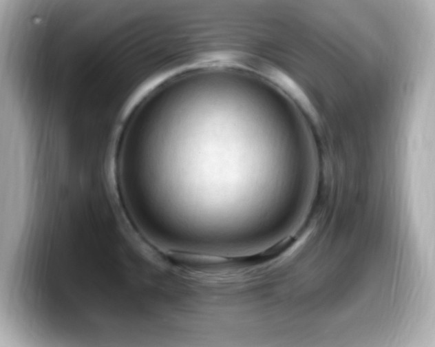 X0000099981336200805231417