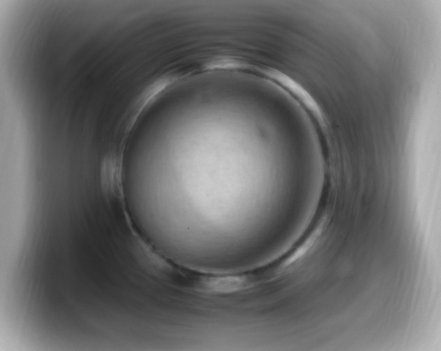 X0000099981337200805231417