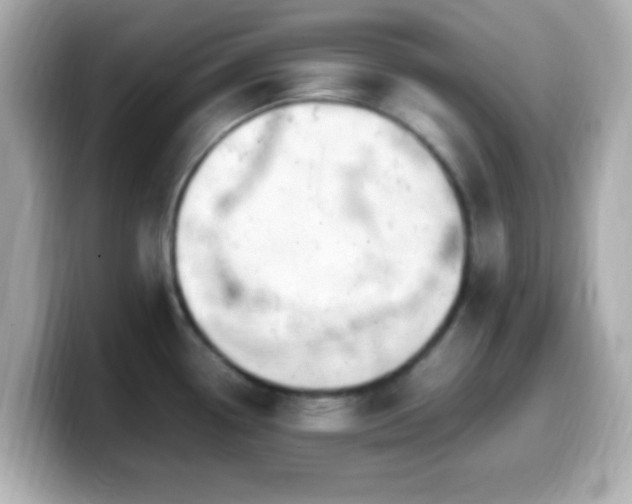 X0000099981338200805231417