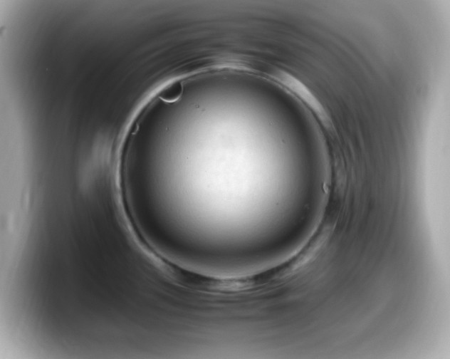 X0000099981339200805231417