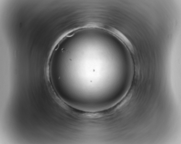 X0000099981340200805231417