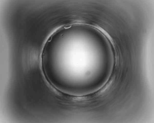 X0000099981341200805231417