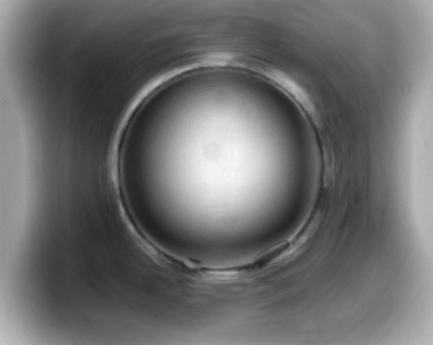 X0000099981342200805231417