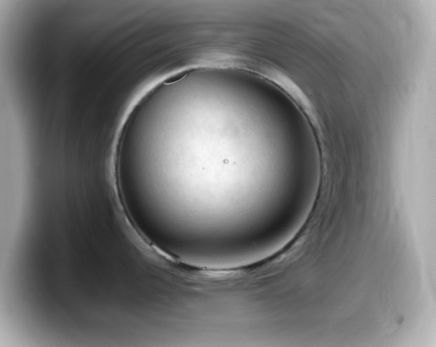 X0000099981344200805231417