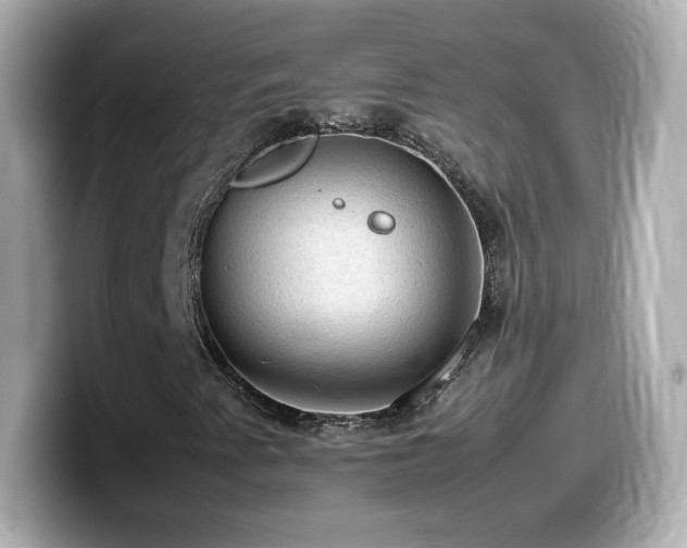 X0000099981345200805231417