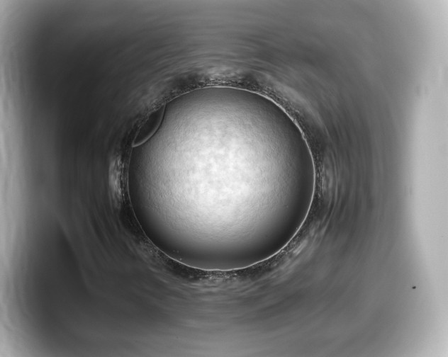 X0000099981346200805231417