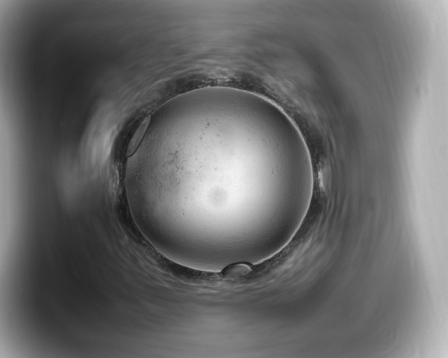 X0000099981347200805231417