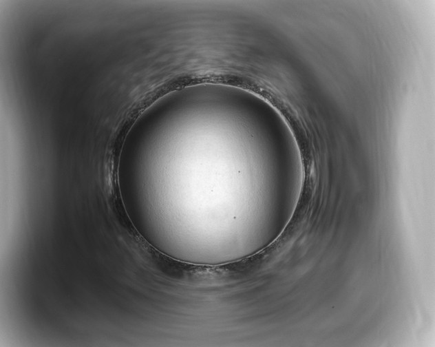 X0000099981348200805231417