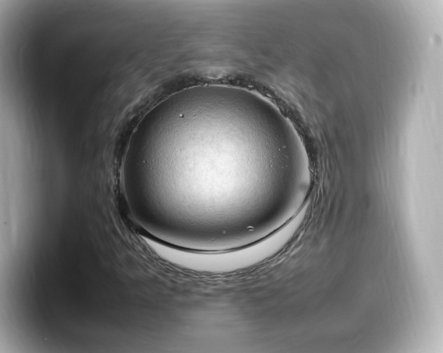 X0000099981349200805231417