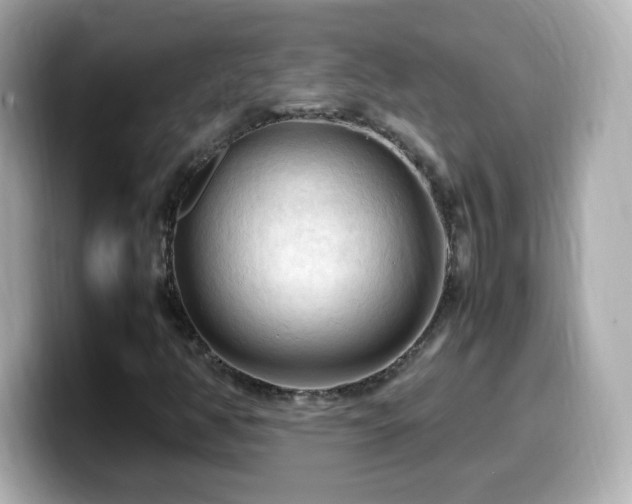 X0000099981350200805231417