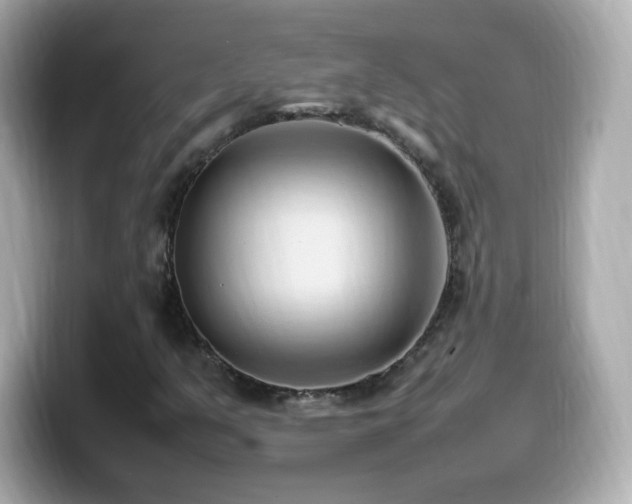 X0000099981351200805231416
