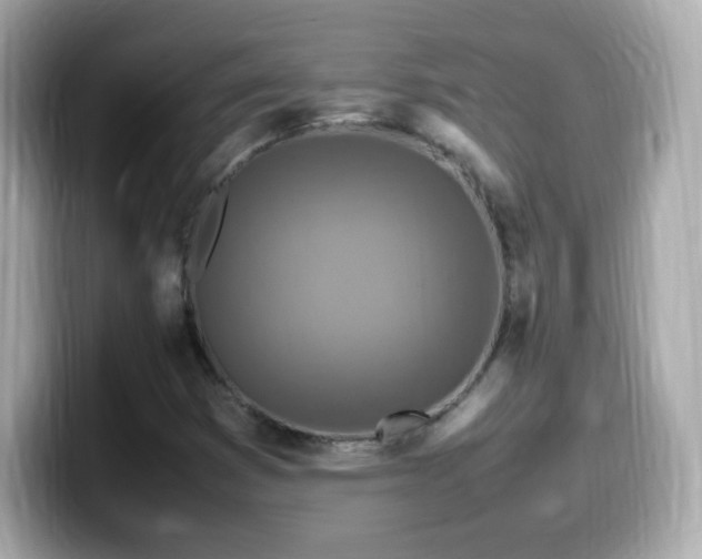 X0000099981353200805231416