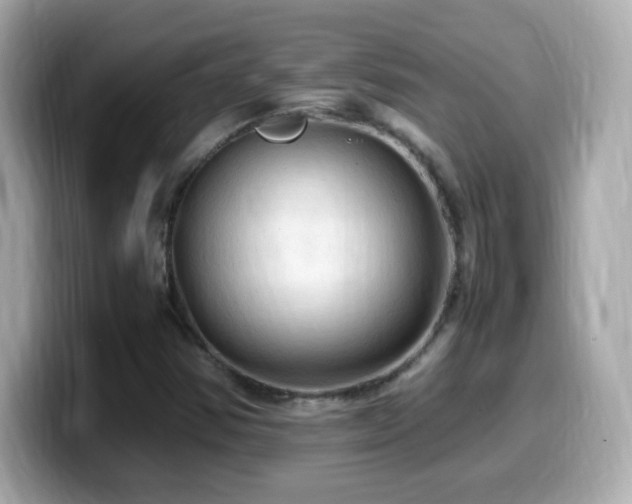 X0000099981354200805231416