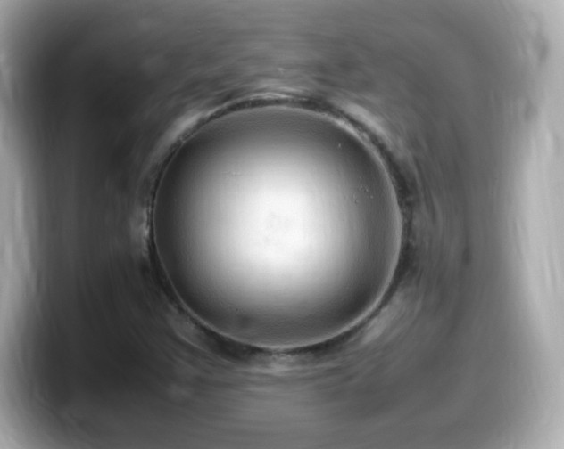 X0000099981355200805231416