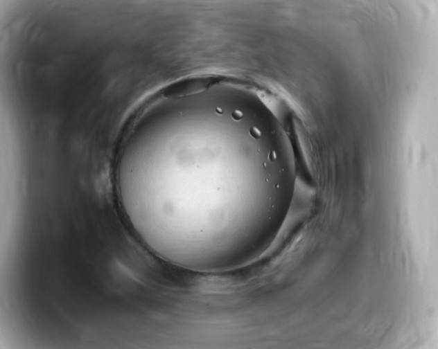 X0000099981356200805231416