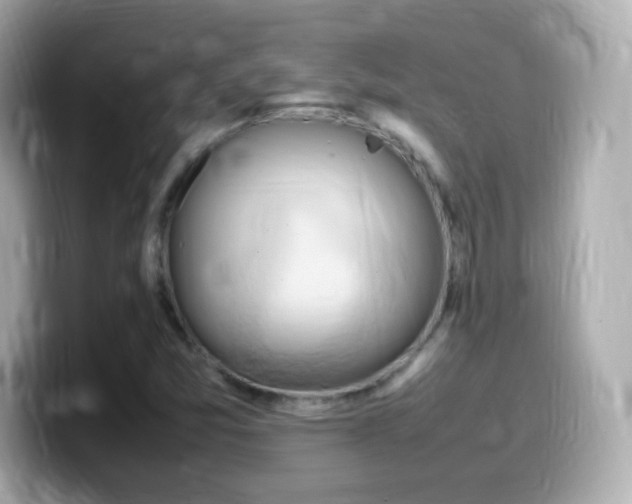 X0000099981357200805231416