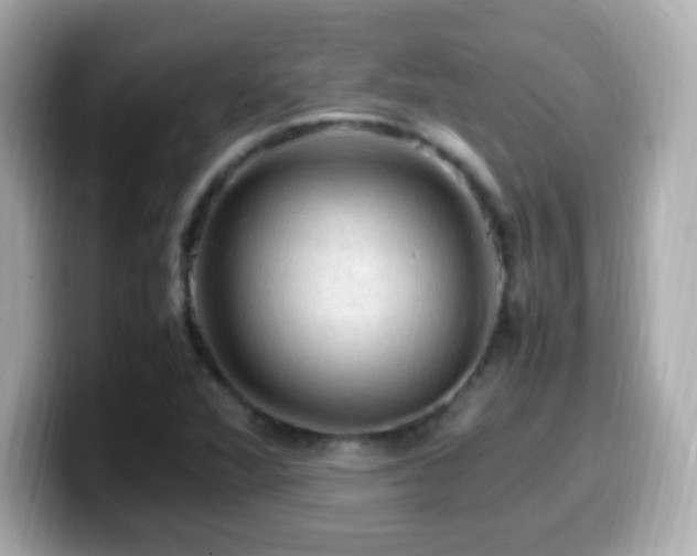 X0000099981360200805231416