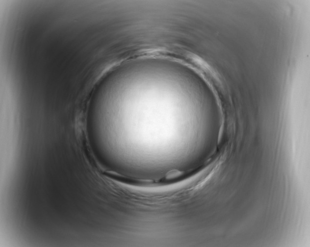 X0000099981361200805231416